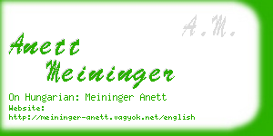anett meininger business card